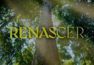 Aplicativo para assistir a novela Renascer