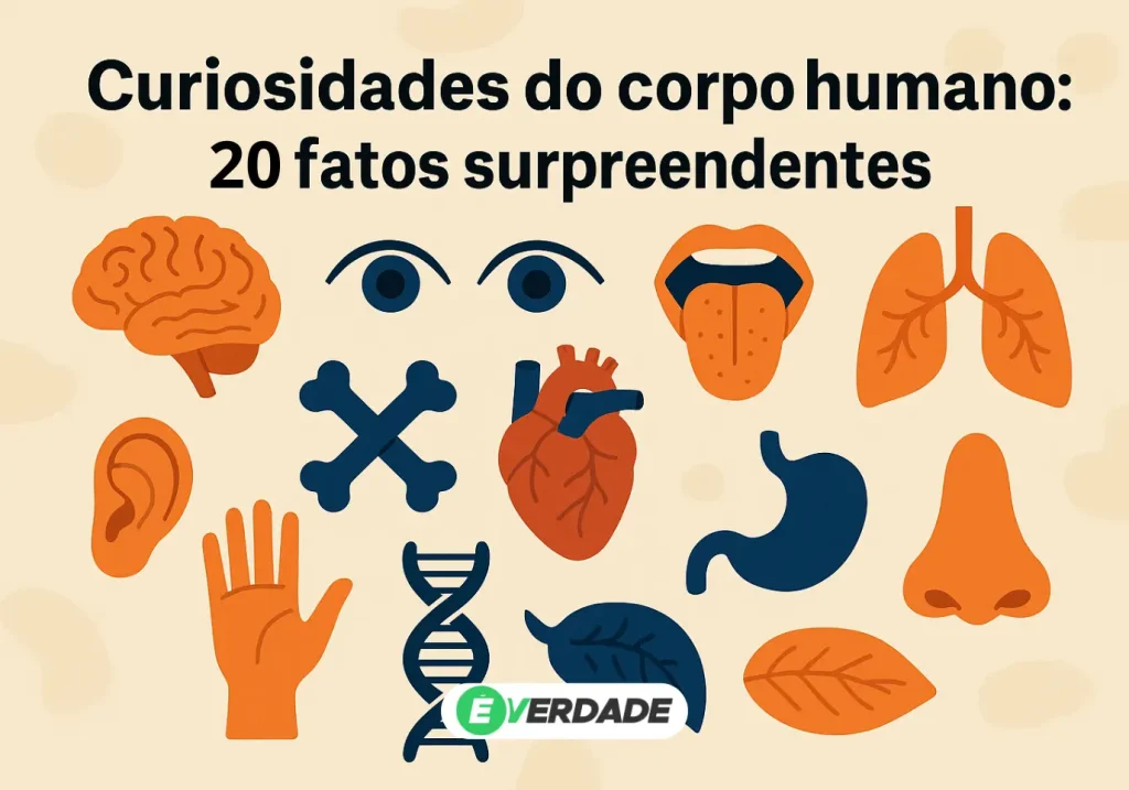 Curiosidades do corpo humano: 20 fatos surpreendentes - É Verdade